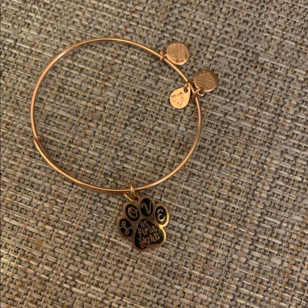 Alex and Ani bracelet